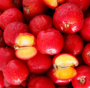 Acerola